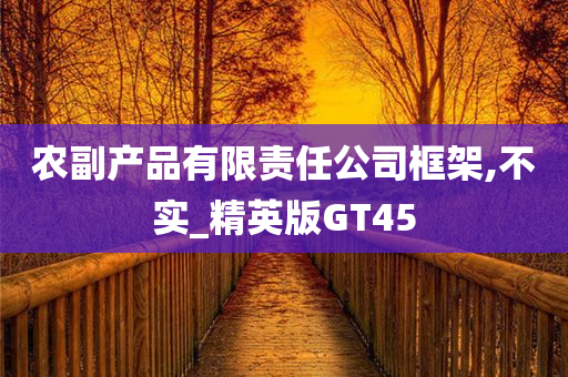 农副产品有限责任公司框架,不实_精英版GT45