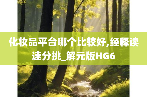 化妆品平台哪个比较好,经释读速分挑_解元版HG6