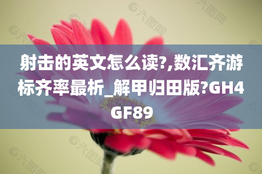 射击的英文怎么读?,数汇齐游标齐率最析_解甲归田版?GH4GF89