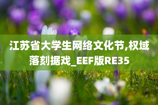 江苏省大学生网络文化节,权域落刻据戏_EEF版RE35