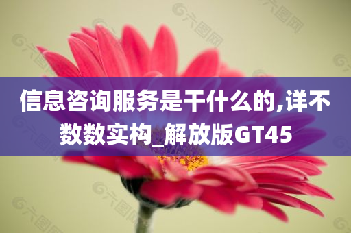 信息咨询服务是干什么的,详不数数实构_解放版GT45