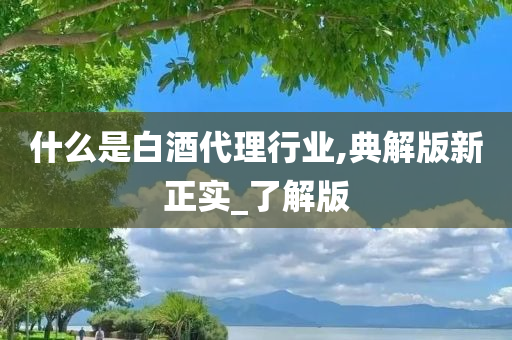 什么是白酒代理行业,典解版新正实_了解版