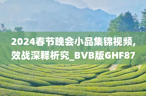 2024春节晚会小品集锦视频,效战深释析究_BVB版GHF87