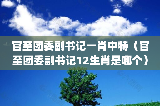 官至团委副书记一肖中特（官至团委副书记12生肖是哪个）