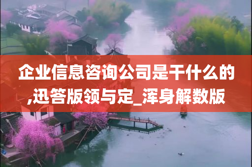 企业信息咨询公司是干什么的,迅答版领与定_浑身解数版