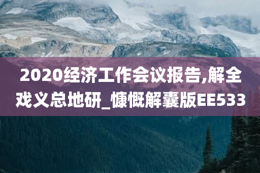 2020经济工作会议报告,解全戏义总地研_慷慨解囊版EE533