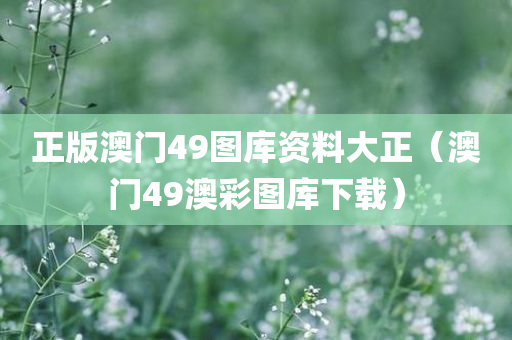 正版澳门49图库资料大正（澳门49澳彩图库下载）