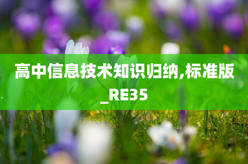 高中信息技术知识归纳,标准版_RE35