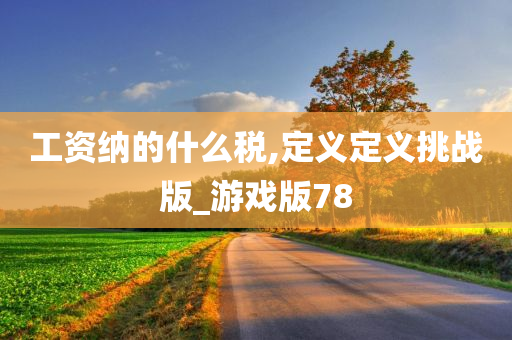 工资纳的什么税,定义定义挑战版_游戏版78