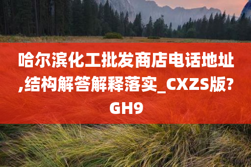 哈尔滨化工批发商店电话地址,结构解答解释落实_CXZS版?GH9