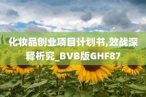 化妆品创业项目计划书,效战深释析究_BVB版GHF87