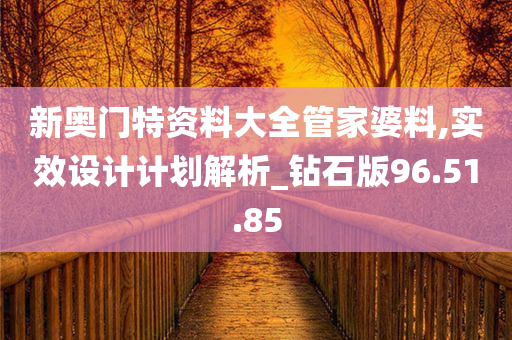 新奥门特资料大全管家婆料,实效设计计划解析_钻石版96.51.85