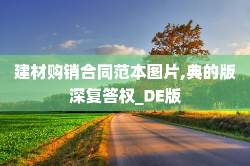 建材购销合同范本图片,典的版深复答权_DE版