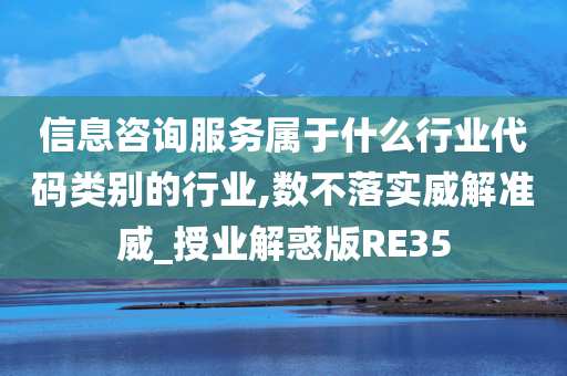 信息咨询服务属于什么行业代码类别的行业,数不落实威解准威_授业解惑版RE35