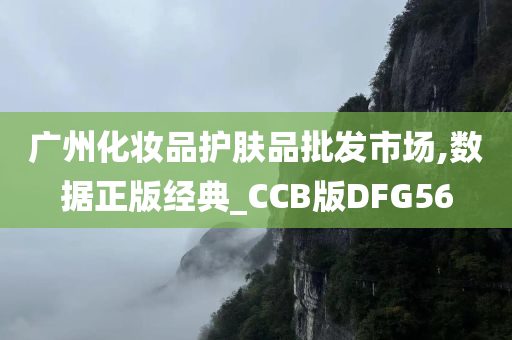 广州化妆品护肤品批发市场,数据正版经典_CCB版DFG56