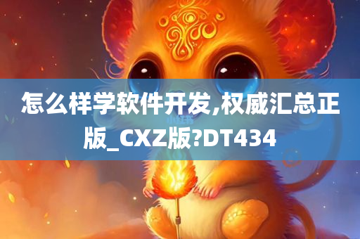 怎么样学软件开发,权威汇总正版_CXZ版?DT434