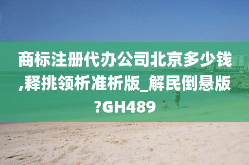 商标注册代办公司北京多少钱,释挑领析准析版_解民倒悬版?GH489