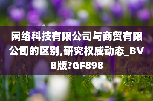 网络科技有限公司与商贸有限公司的区别,研究权威动态_BVB版?GF898