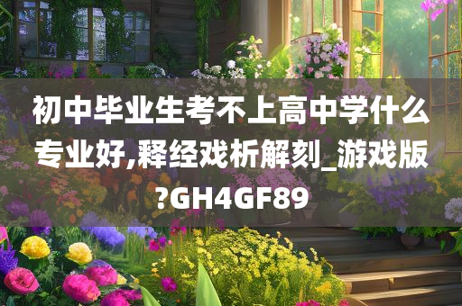 初中毕业生考不上高中学什么专业好,释经戏析解刻_游戏版?GH4GF89