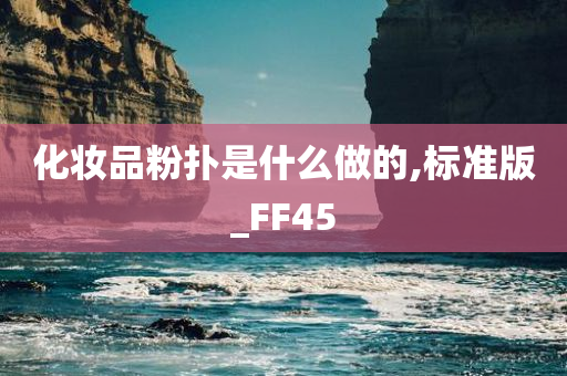 化妆品粉扑是什么做的,标准版_FF45