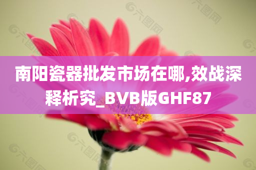 南阳瓷器批发市场在哪,效战深释析究_BVB版GHF87