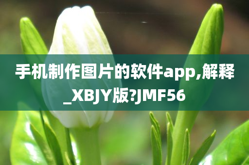 手机制作图片的软件app,解释_XBJY版?JMF56