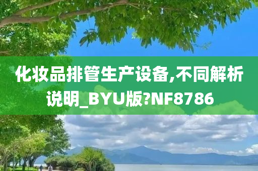 化妆品排管生产设备,不同解析说明_BYU版?NF8786