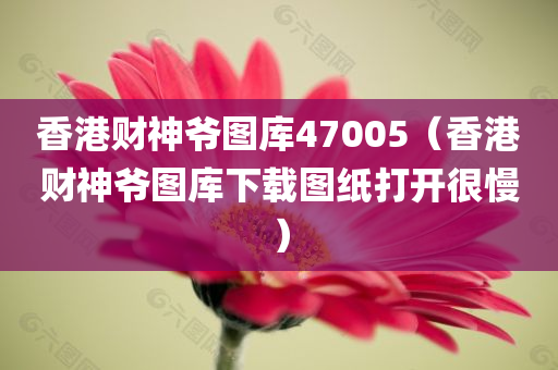 香港财神爷图库47005（香港财神爷图库下载图纸打开很慢）