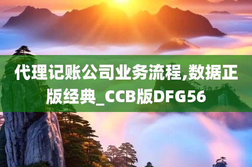 代理记账公司业务流程,数据正版经典_CCB版DFG56