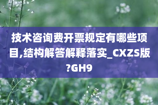 技术咨询费开票规定有哪些项目,结构解答解释落实_CXZS版?GH9