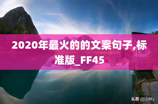 2020年最火的的文案句子,标准版_FF45