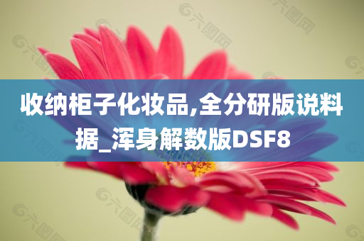 收纳柜子化妆品,全分研版说料据_浑身解数版DSF8