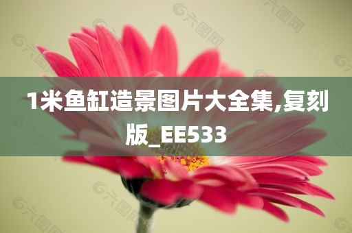 1米鱼缸造景图片大全集,复刻版_EE533