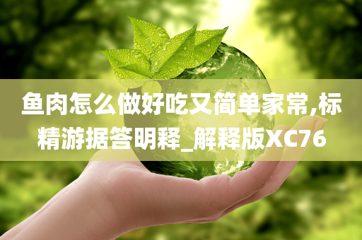 鱼肉怎么做好吃又简单家常,标精游据答明释_解释版XC76