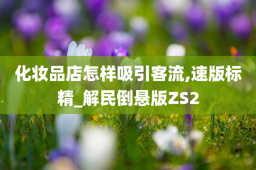 化妆品店怎样吸引客流,速版标精_解民倒悬版ZS2