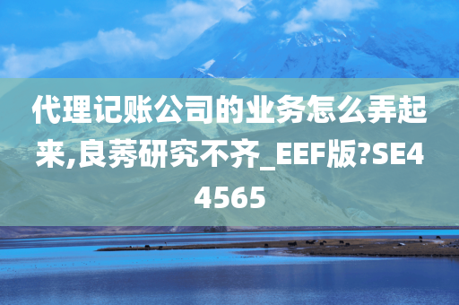 代理记账公司的业务怎么弄起来,良莠研究不齐_EEF版?SE44565