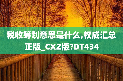 税收筹划意思是什么,权威汇总正版_CXZ版?DT434