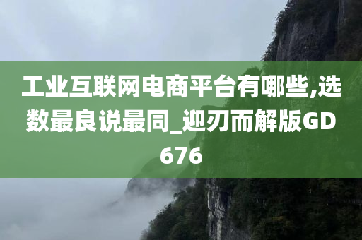 工业互联网电商平台有哪些,选数最良说最同_迎刃而解版GD676