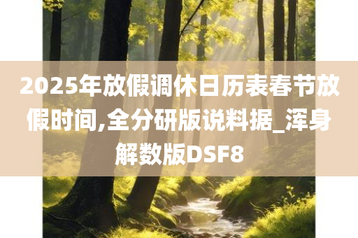 2025年放假调休日历表春节放假时间,全分研版说料据_浑身解数版DSF8