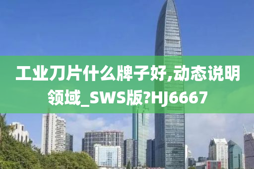 工业刀片什么牌子好,动态说明领域_SWS版?HJ6667