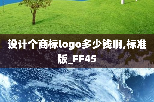 设计个商标logo多少钱啊,标准版_FF45