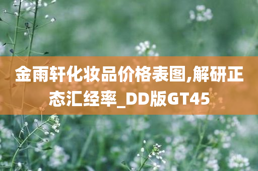 金雨轩化妆品价格表图,解研正态汇经率_DD版GT45