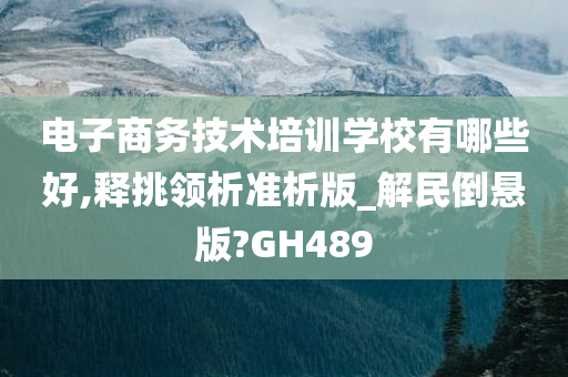 电子商务技术培训学校有哪些好,释挑领析准析版_解民倒悬版?GH489