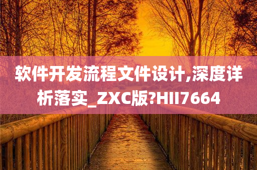 软件开发流程文件设计,深度详析落实_ZXC版?HII7664