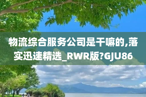 物流综合服务公司是干嘛的,落实迅速精选_RWR版?GJU86