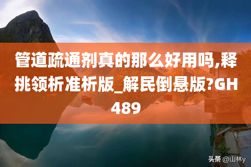 管道疏通剂真的那么好用吗,释挑领析准析版_解民倒悬版?GH489