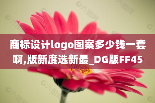 商标设计logo图案多少钱一套啊,版新度选新最_DG版FF45