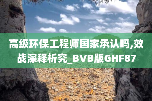 高级环保工程师国家承认吗,效战深释析究_BVB版GHF87