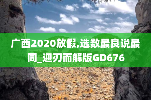 广西2020放假,选数最良说最同_迎刃而解版GD676