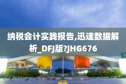 纳税会计实践报告,迅速数据解析_DFJ版?JHG676